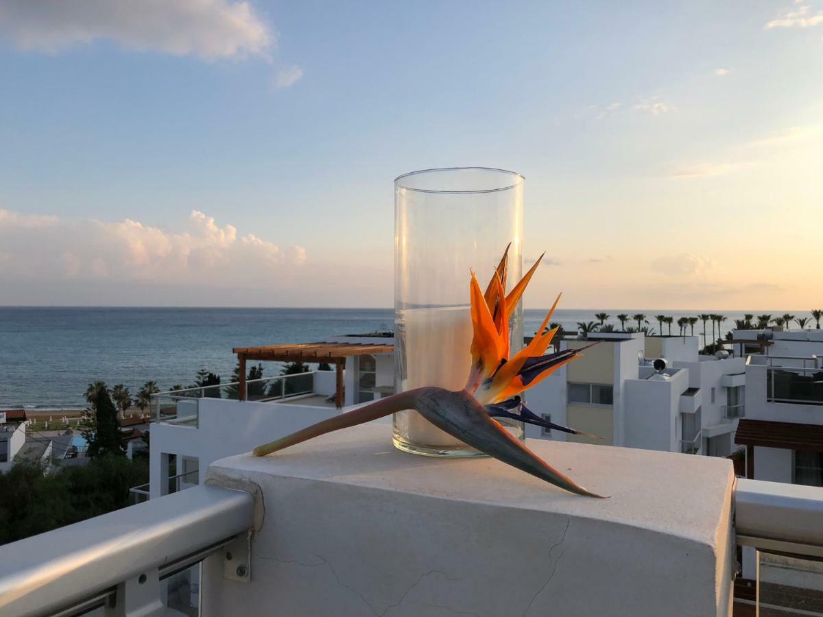 Marina View Villa 11 Peyia Exterior foto